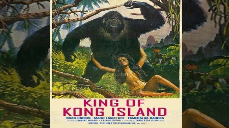 Kong Island aka King of Kong Island
