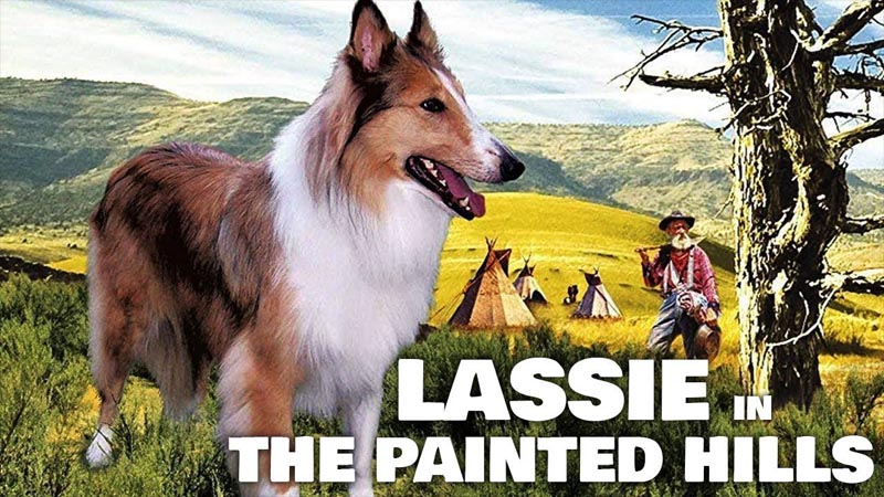 LASSIE The Painted Hills