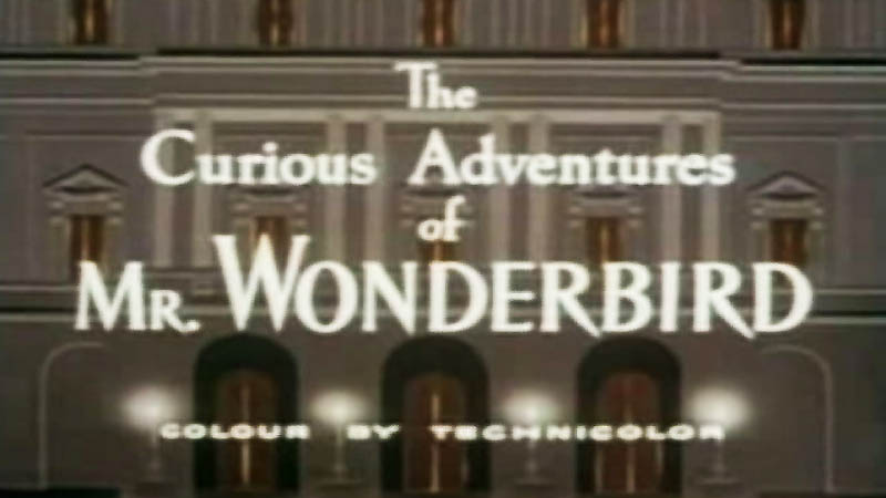 Curious Adventures of Mr Wonderbird