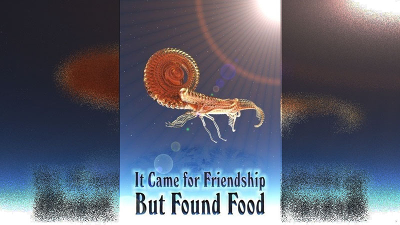 It Came For Friendship, But Found Food