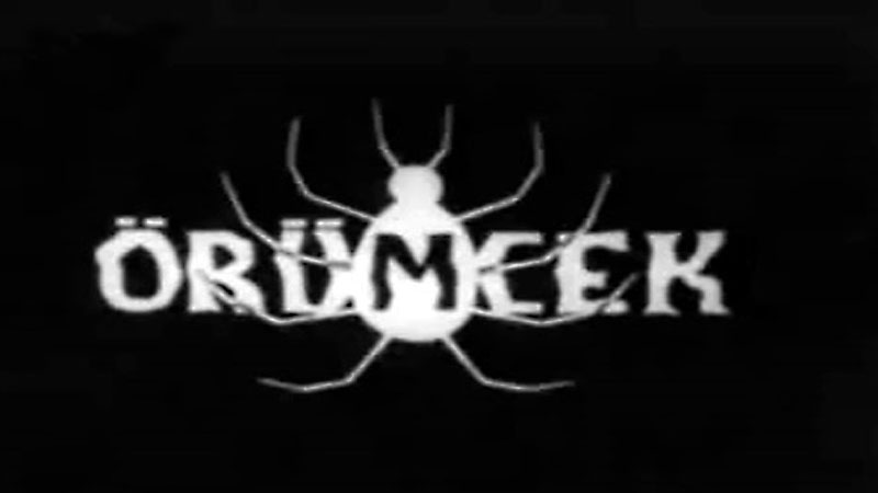 Orumcek (Turkish Spiderman) on Digital Drive-In