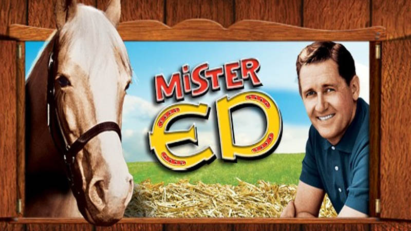 Mister Ed: Ed the Beneficiary