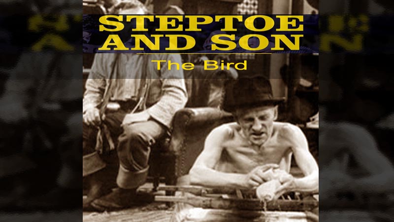 Steptoe and Son The Bird