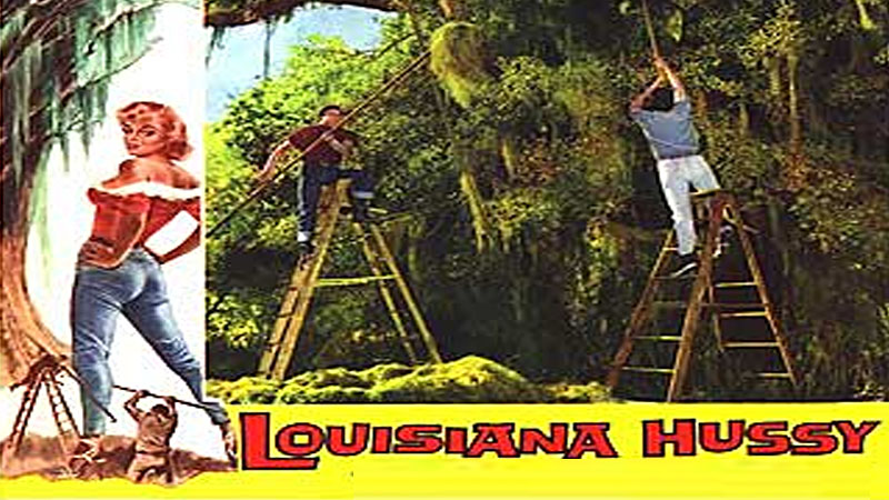 Louisiana Hussy