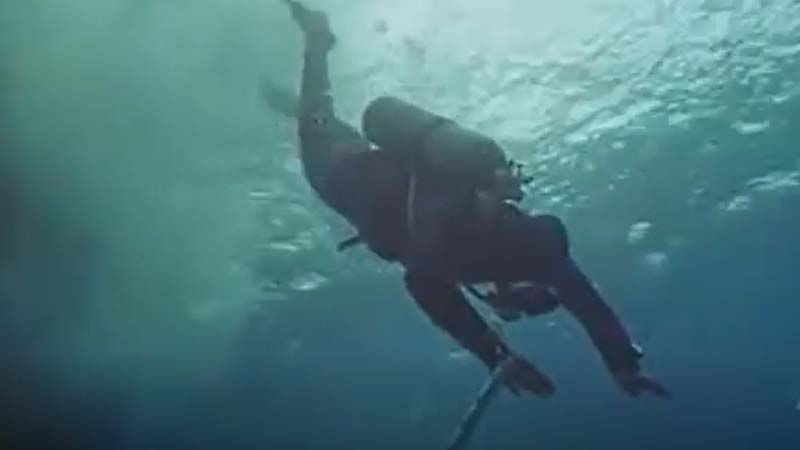 Public Domain Movie Maneater aka Shark