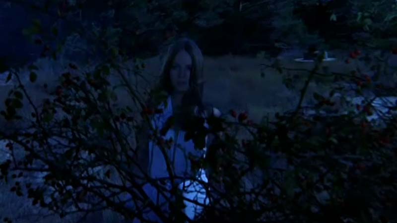 Public Domain Movie Werewolf vs TheVampire Woman  1970