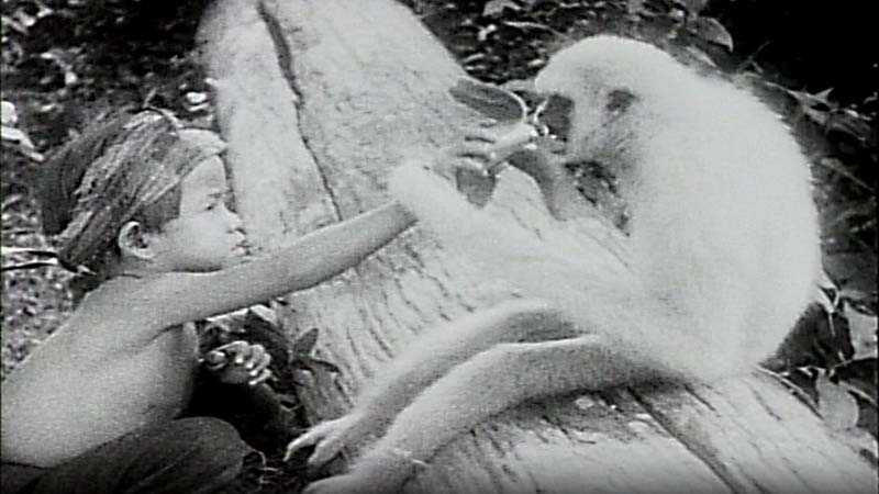 Public Domain Movie Chang A Drama of the Wilderness, 1927