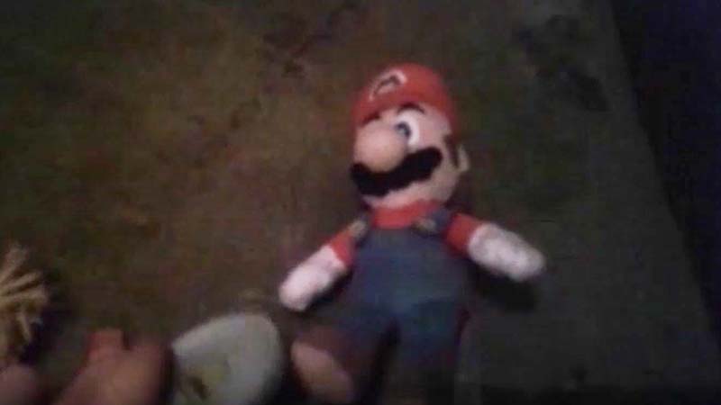 Public Domain Movie CHRISTMAS VISITOR, THE