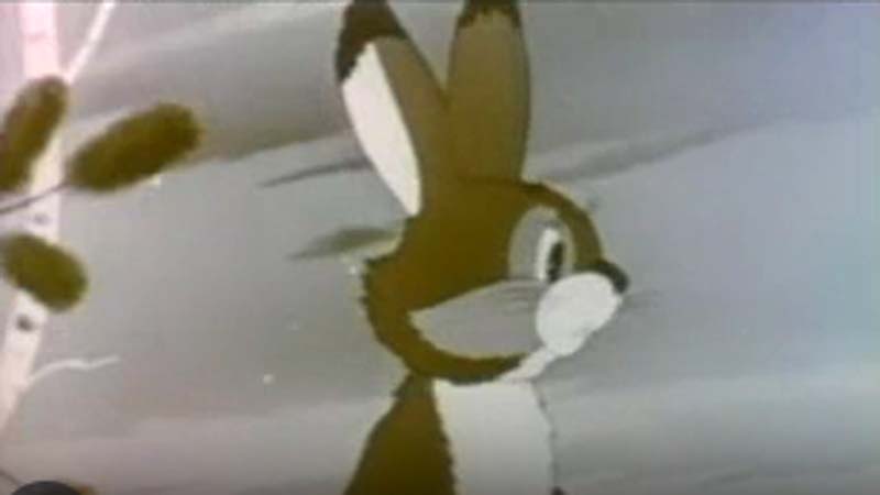 Public Domain Movie LITTLE GRAY NECK