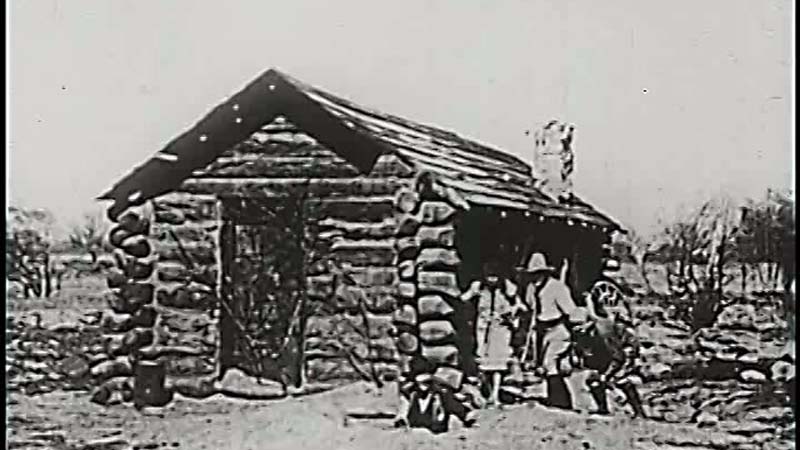 Public Domain Movie Curses!