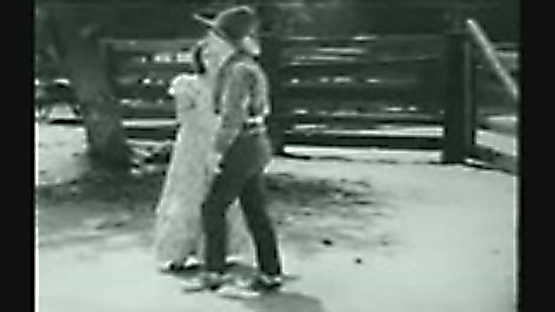 Public Domain Movie The Montana Kid