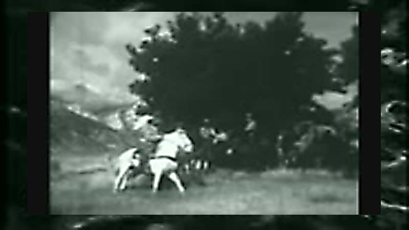 Public Domain Movie Where the Buffalo Roam