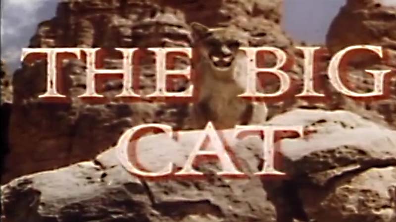 Public Domain Movie The Big Cat